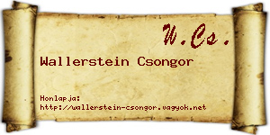 Wallerstein Csongor névjegykártya